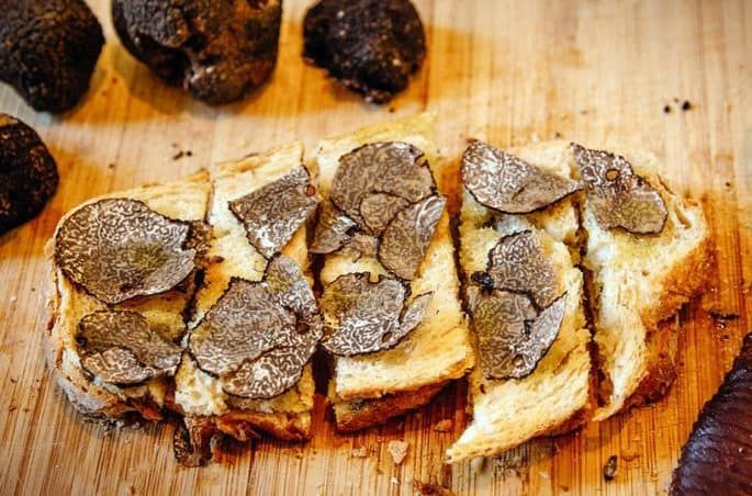 Truffle Hunting: Istria's Culinary Gold
